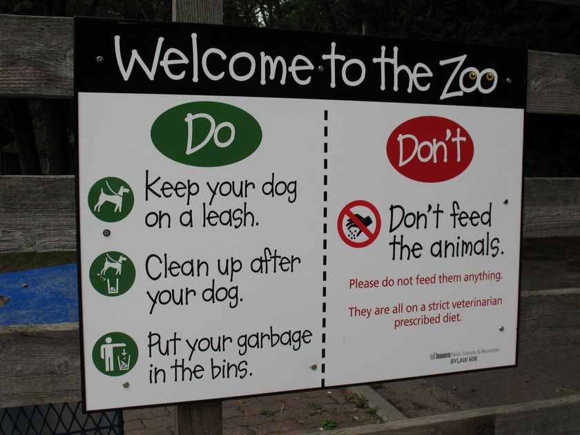 can dogs go to the toronto zoo